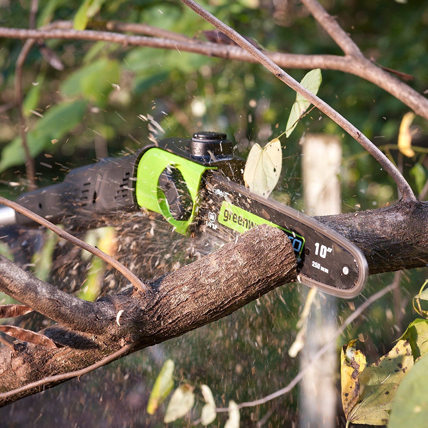 Greenworks PRO 10Inch 80V Cordless Pole Saw Review